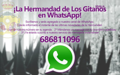 Activate en el WhatsApp de la Hermandad y podrás recibir las noticias y convocatorias más importantes en el instante.