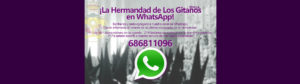 slider whatsapp