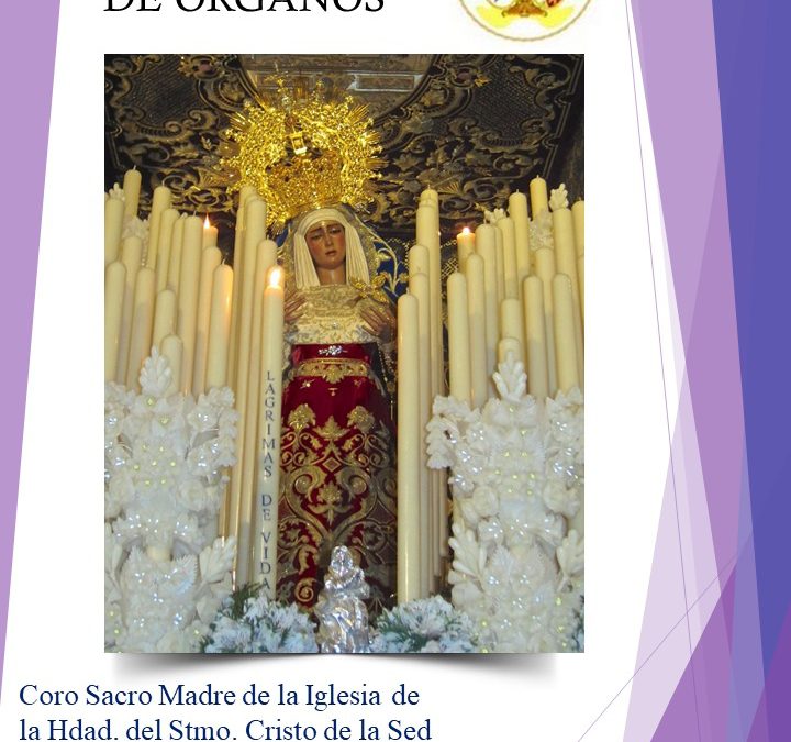 Día 6 de junio a las 20:30 horas, Misa de donantes