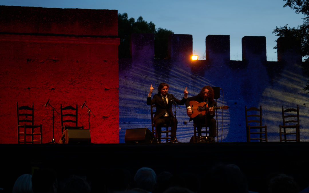 Comienza a fraguarse la IVº edición del Festival Valle Gitano