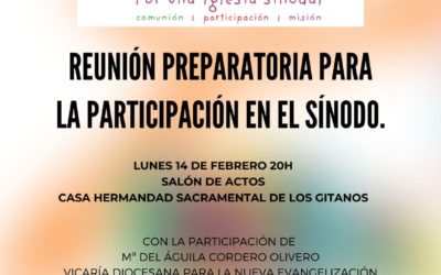 Nos preparamos para el Sínodo: Primera reunión informativa