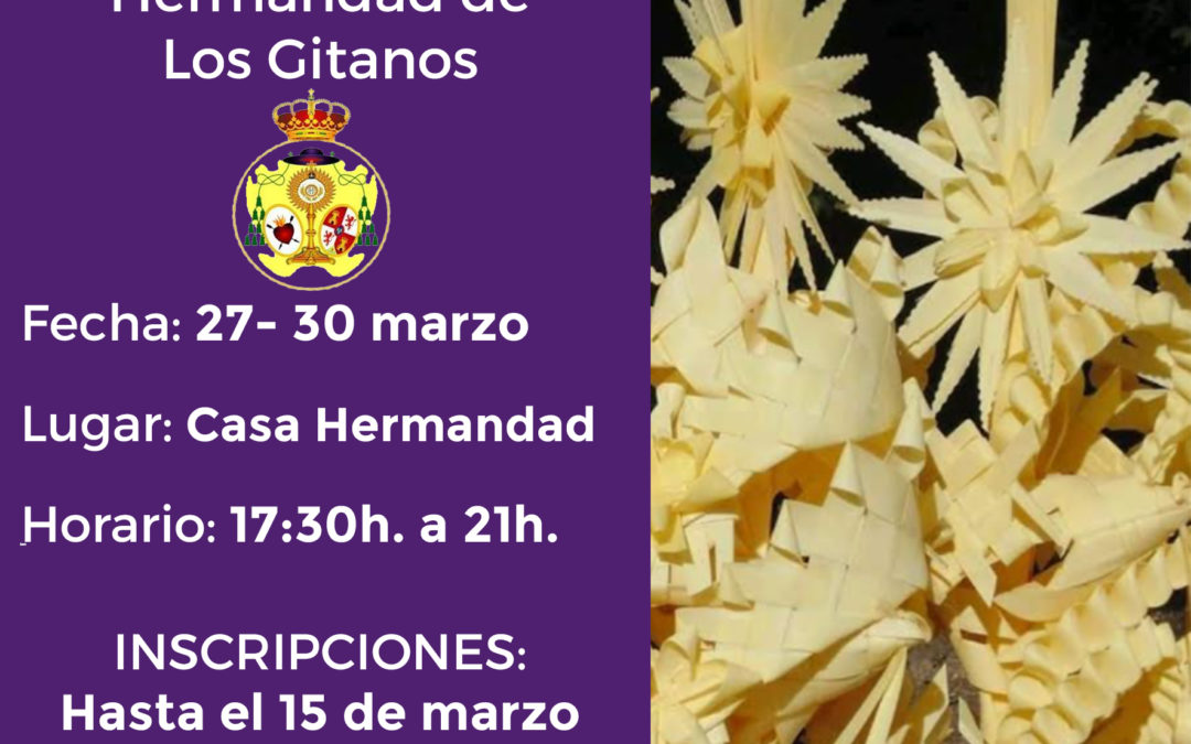 Abierto el plazo de inscripción para el IVº Taller de Palma Rizada