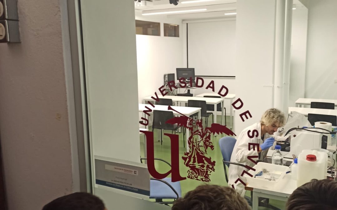 Acción Social: «Clausura del Programa de Mentoría e Intervención Familiar en el Polígono Sur»