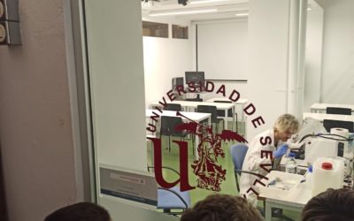 Acción Social: «Clausura del Programa de Mentoría e Intervención Familiar en el Polígono Sur»