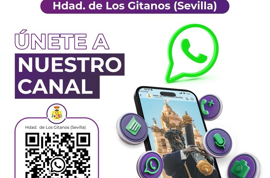 🟣 NOVEDADES | NUEVO CANAL DE INFORMACIÓN