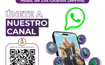 🟣 NOVEDADES | NUEVO CANAL DE INFORMACIÓN